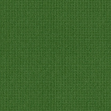 Oregano 8024