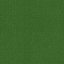 Oregano 8024