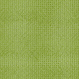 Avocado 8023
