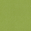 Avocado 8023