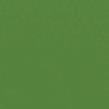 Wasabi 4AQ8