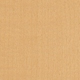 Natural Beech
