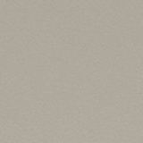 Champagne Metallic CH
