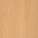Natural Beech