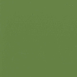 Wasabi 4AQ8