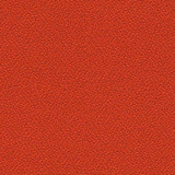 Xtreme - Lobster YS076