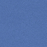 Xtreme - Bluebell YS097
