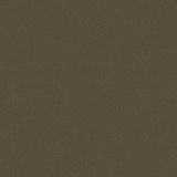 Burnished Bronze 4B23