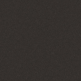 Night Bronze 4B24