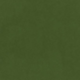 Shamrock