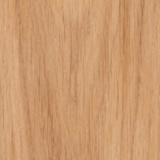 Beech