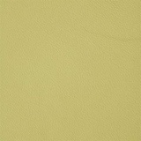 Chartreuse