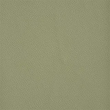 Thyme Green