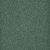 Jade Green