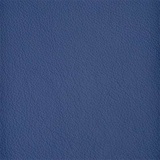 Bilberry