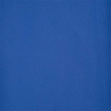 Deep Ultramarine