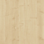 Maple Kronospan D375