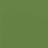 Wasabi 4AQ8