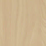 HPL Laminate Birch Wood 1611