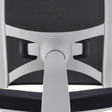 Height Adjustable Lumbar Support