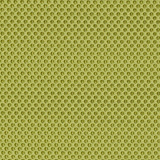 RR05 - Light Green