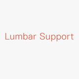 Lumbar Support