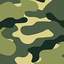 Camo Amazon