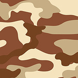 Camo Desert
