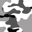 Camo Snow
