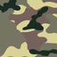 Camo Taiga