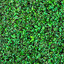 Green 1