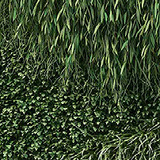 Green 2