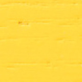 Ash Lacquered Yellow