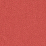 Saffron 5 ER7
