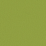 Pistachio 5 ER3