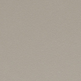 Champagne Metallic CH