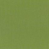Apple Green - AR06