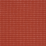 Saffron - AR19