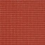 Saffron - AR19