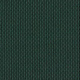 Peacock 33
