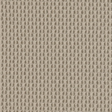 Beige 12