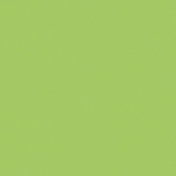 Wasabi VP