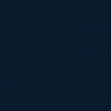 Navy Blue 36