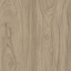 MFC/NNE Natural Noble Elm Kronospan D5500