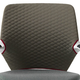 Trellis Khaki With Ruby Trim