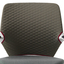 Trellis Khaki With Ruby Trim