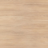 Chestnut