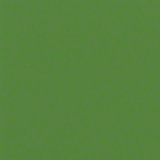 Wasabi 4AQ8