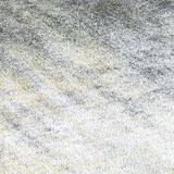 Moss
