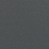 Blizzard - YP081